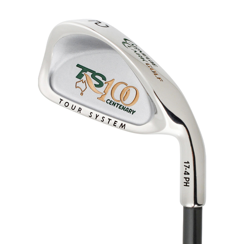New Carnegie Clark TS100 2 Iron Graphite Regular Flex J1118