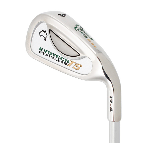 Carnegie Clark Evotech TS 4 Iron Steel Regular Flex J5161