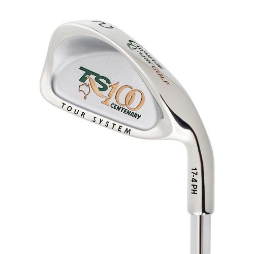 Carnegie Clark TS100 2 Iron Steel Stiff Flex J5163